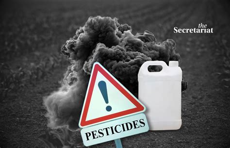 Pesticide Residues in Clouds: Urgent Call for Sustainable Farming