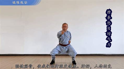 少林正宗易筋经古书书内功心法中国武术书籍少林武术经典珍藏形意拳气功入门真气健身正宗功夫太极拳养生拳谱全书洗髓经_虎窝淘