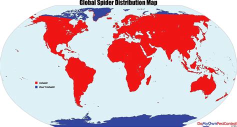 How Long Have Spiders Been Around