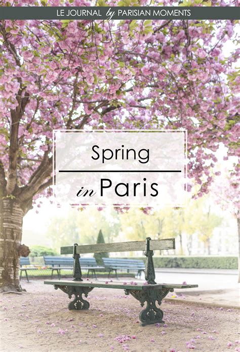 4 Top Bridges in Paris — Parisian Moments