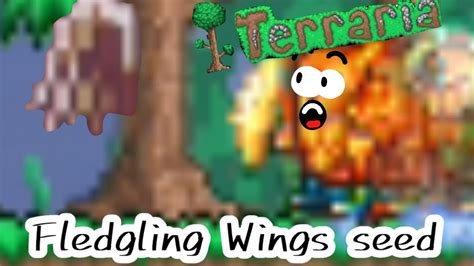 Fledgling Wings Seed! (Terraria) - YouTube