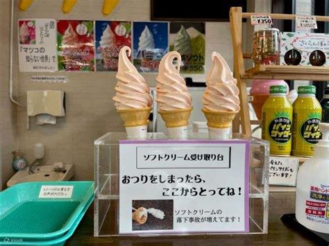 Yamagata City, Yamadera Join In Half Day Walking Tour - Klook India