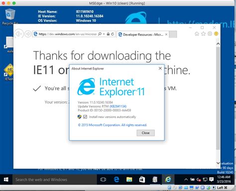 Install Internet Explorer 的图像结果