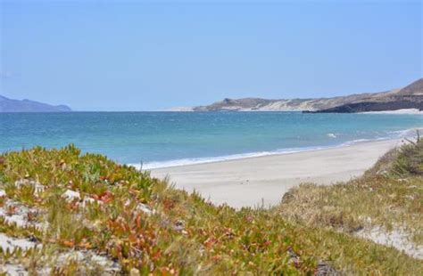Santa Rosa Island (Channel Islands National Park) - 2021 What to Know ...