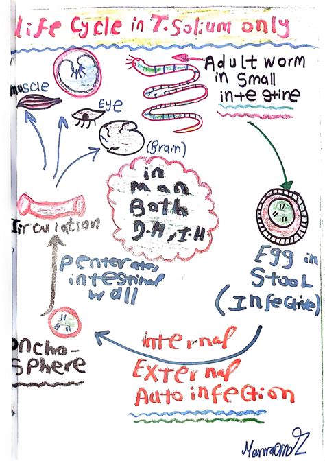 Image result for 7th Grade Computer Class Assignment Create an Artist Project Example