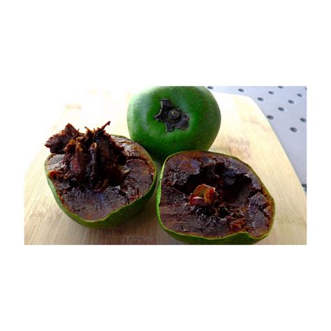 Plantistanbul Diospyros Digyna Black Sapote Çikolata Meyvesi Fiyatı