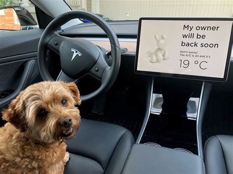 Tesla Dog