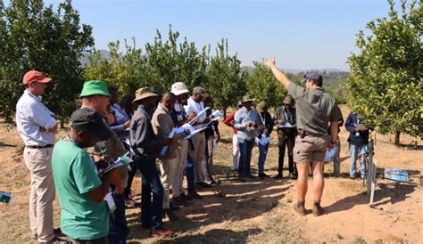 Image result for Netafim Problems