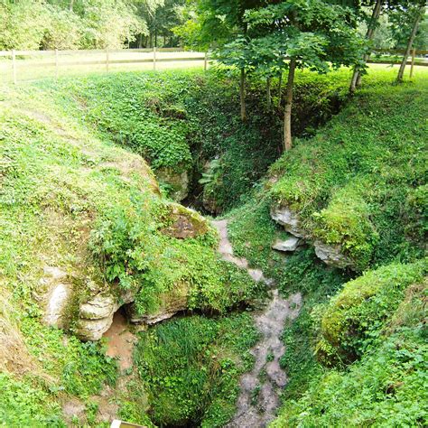 COW CAVE (2025) All You Need to Know BEFORE You Go (with Photos ...