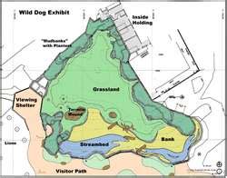 ZooLex Exhibit - African Wild Dog Exhibit