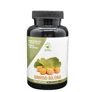Buy Wecureayurveda 100% Organic Ginkgo Biloba brain booster supplement ...