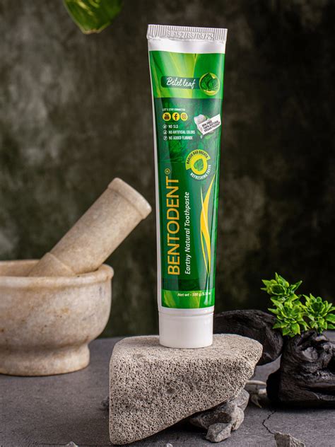 Bentodent Betel Leaf Organic Toothpaste - SLS Free - 100 gm | Indian ...