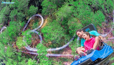 Combo High Rope Course and Datanla New Alpine Coaster in Da Lat - Klook ...