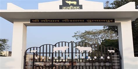 Shree Gopal Gaushala Sewa Samiti