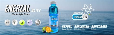 Enerzal BLITZ Isotonic Hydration & Energy Drink with 5 Vital ...