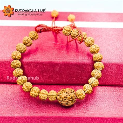 Rudraksha for Good Gut Health – Rudraksha Hub