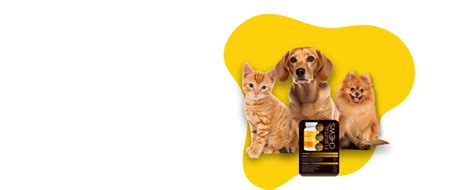 Furvital - Premium Pet Supplements for Health & Wellness