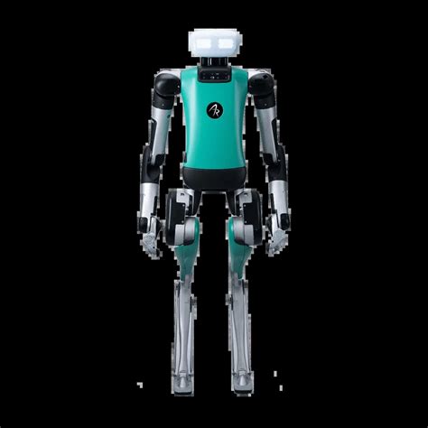 Digit 的图像结果