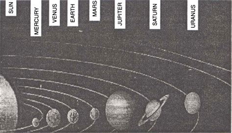 Give some examples of the gravitational force in nature. - Wired Faculty