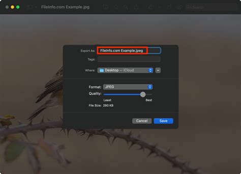 Image result for Email File Extensions