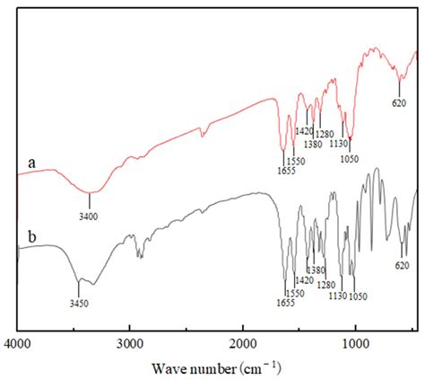 Cloning and Characterization of Chitin Deacetylase from Euphausia superba
