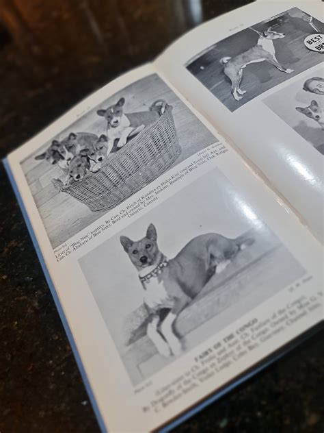 Basenjis The Barkless Dogs – Blue Book | Basenji Breed Network