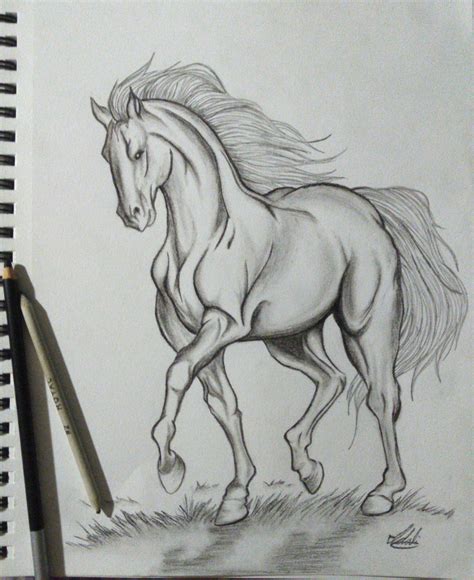 Realistic Horse Pencil Drawing