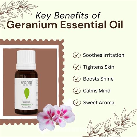 Buy Pure Geranium Essential Oil – AromaTreasures.com