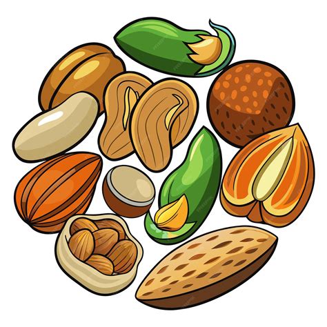 Set of different nuts clip art and Vector Design With White Background ...