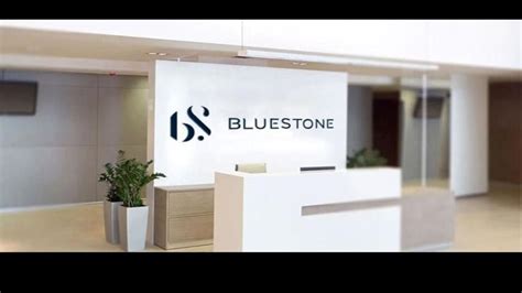 BlueStone Jewellery IPO day 3: GMP, subscription status, review, other ...