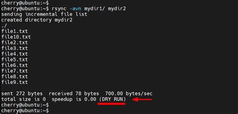 How to Use Rsync Between 2 Servers 的图像结果