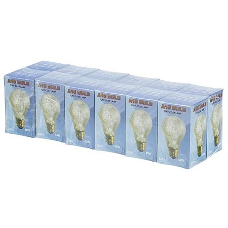 Hatco Light Bulb Kit, 12Pk , 40W 250V R023026612 | Zoro