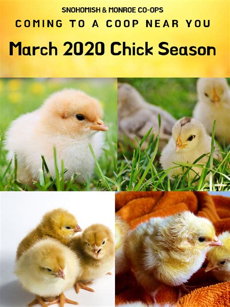 MONROE CO-OP - Monroe WA - Hours, Directions, Reviews - Loc8NearMe