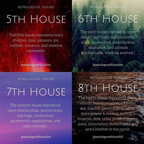 Understanding the 6th House in Astrology