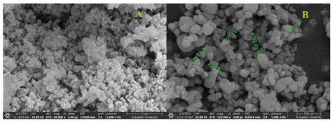 Ibuprofen-Loaded Silver Nanoparticle-Doped PVA Gels: Green Synthesis ...