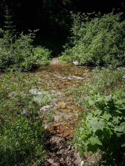 Bear Creek , Idaho - GPS Trail Map, Conditions & Difficulty | onX Offroad