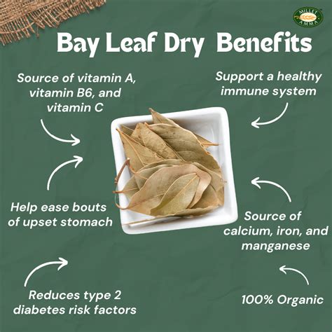 Bay Leaf Dry Organic 100gm | Dry Masala & Spices – Millet Amma