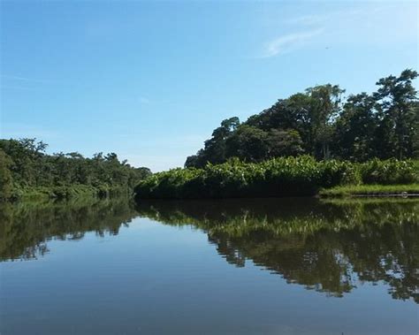 BEST Places to Visit in Changuinola - UPDATED 2021 (with Photos ...