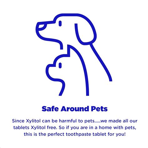 Buy Chomp Super Whitening Toothpaste Tablets with Nano Hydroxyapatite ...