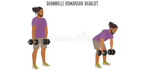Romanian Deadlift Stock Illustrations - 20 Romanian Deadlift Stock ...