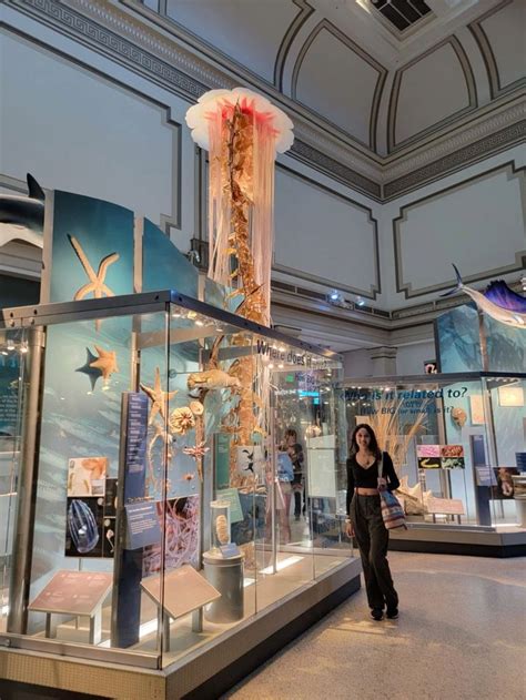 Smithsonian Museum 的图像结果