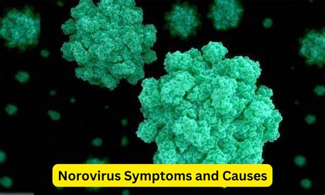 Norovirus Symptoms and Causes, How does Norovirus spread?