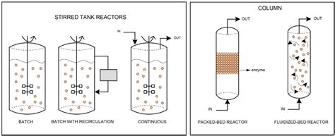 Biological Methods in Biodiesel Production and Their Environmental Impact