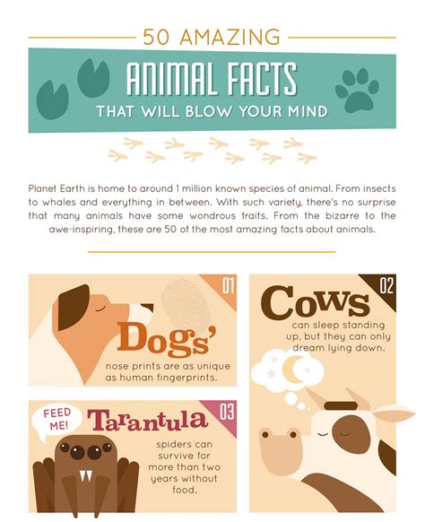 Interesting Facts About Animals With Pictures - Free Math Worksheet ...