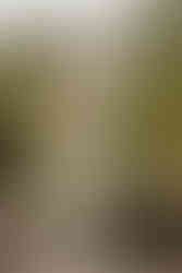 Offbeat Goa: Places to visit in Panjim