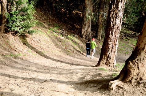 DIY Hike: Claremont Canyon Regional Preserve - Greenbelt Alliance