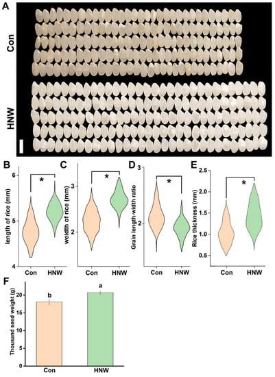 Molecular Hydrogen Increases Quantitative and Qualitative Traits of ...