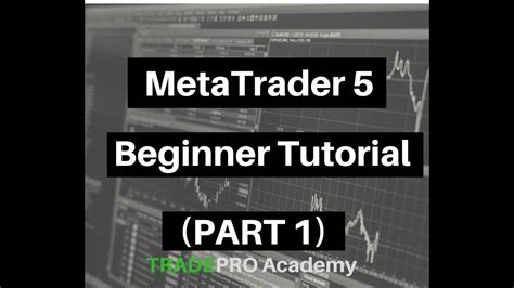 Image result for Tutorial Video of MetaTrader