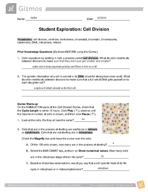 Building DNA Gizmo Answer Key - 2018 Student Exploration Guide - Studocu