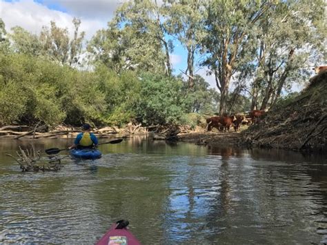 River Tribe Adventures (Wangaratta) - All You Need to Know BEFORE You Go